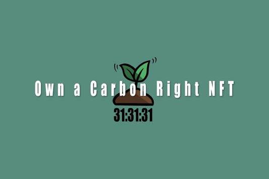 Own a Carbon Right NFT