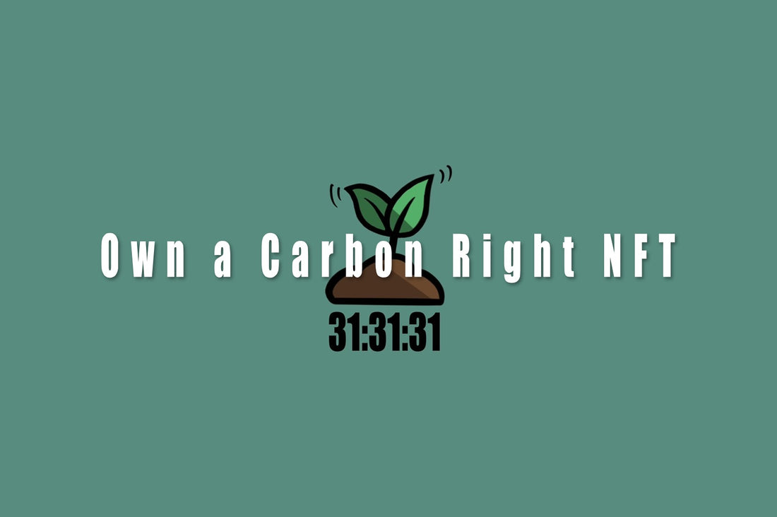 Own a Carbon Right NFT